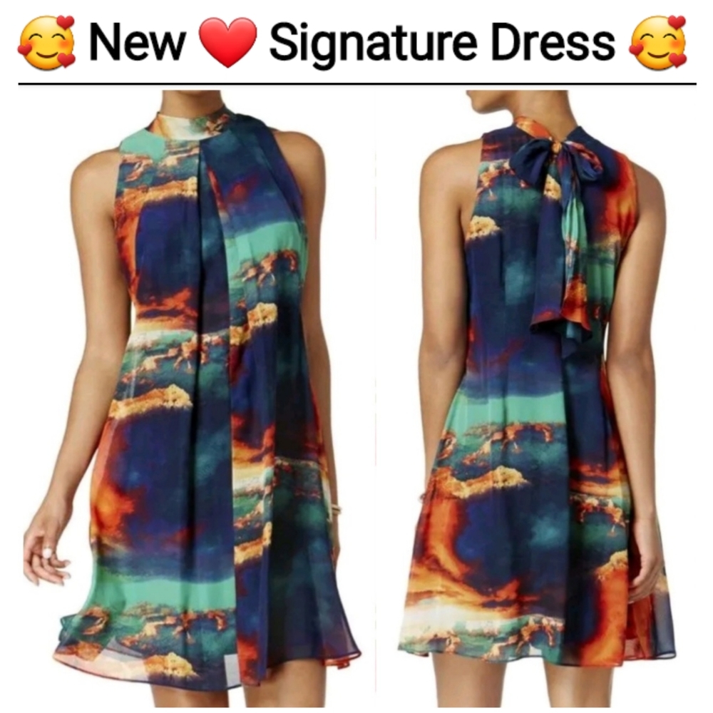 Signature Navy Multi-Color Chiffon Shift Dress by Robbie Bee, Size 6
